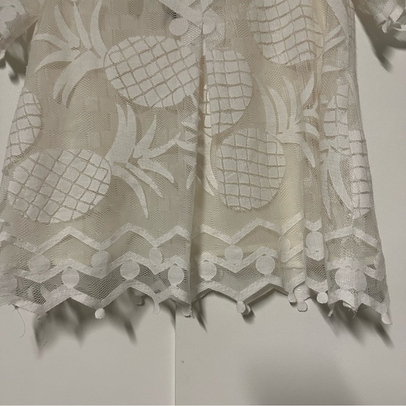 Anthropologie HD in Paris Ivory Lace Pineapple Sheer with Lining Pina Top 2P - Picture 8 of 9